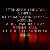 /album/shargorodskij/a2701621505-jpg/